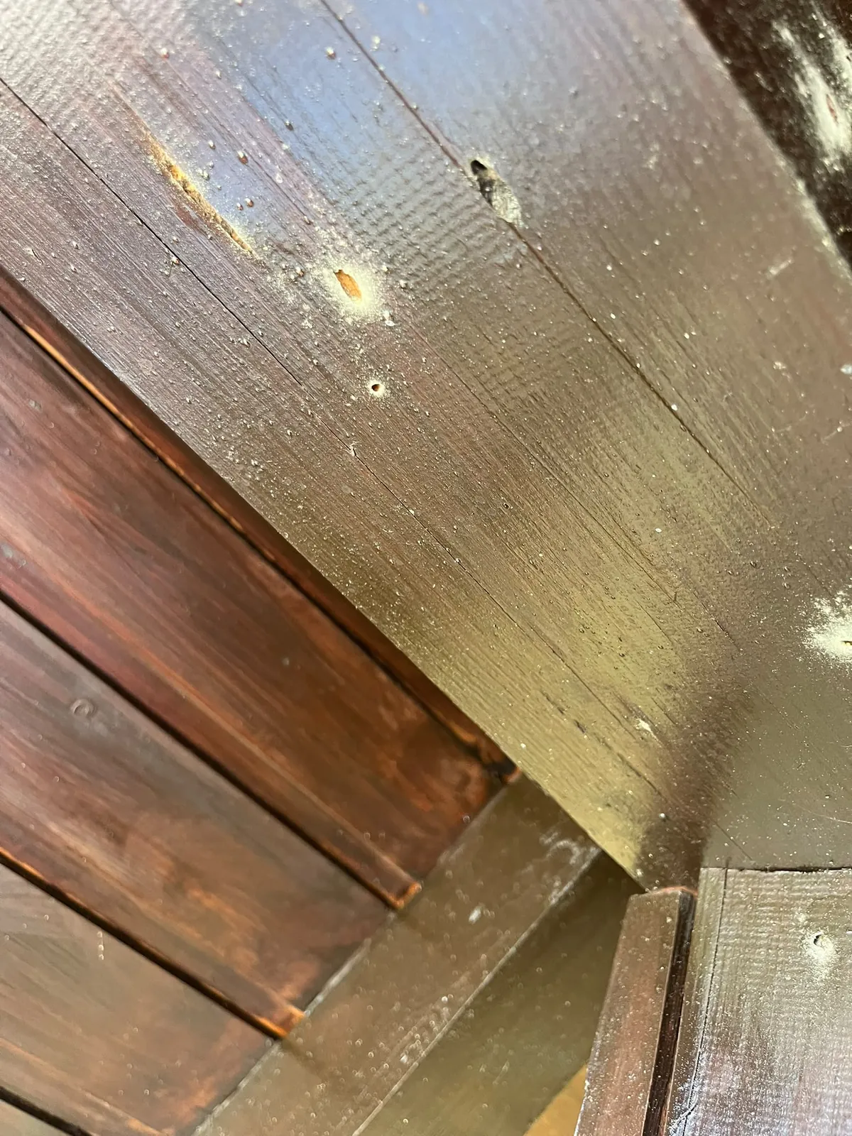 Schadstellen am Holz