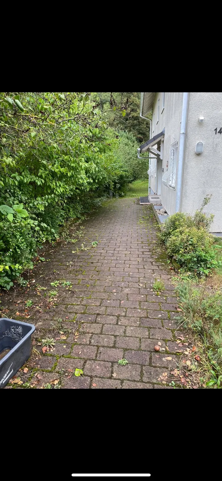 Zugang am Haus – Vorher